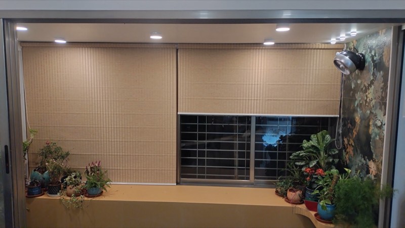 Two linen roller blinds over a sit-out window with plants